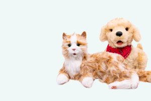 Hund & Katze interaktiv