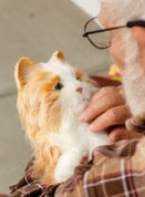 Interaktive Haustiere sind Gefährten für Senioren und Menschen mit Demenz Roboter-Katzen und Roboter-Hunde zaubern ein Lächeln ins Gesicht von Demenzpatienten!