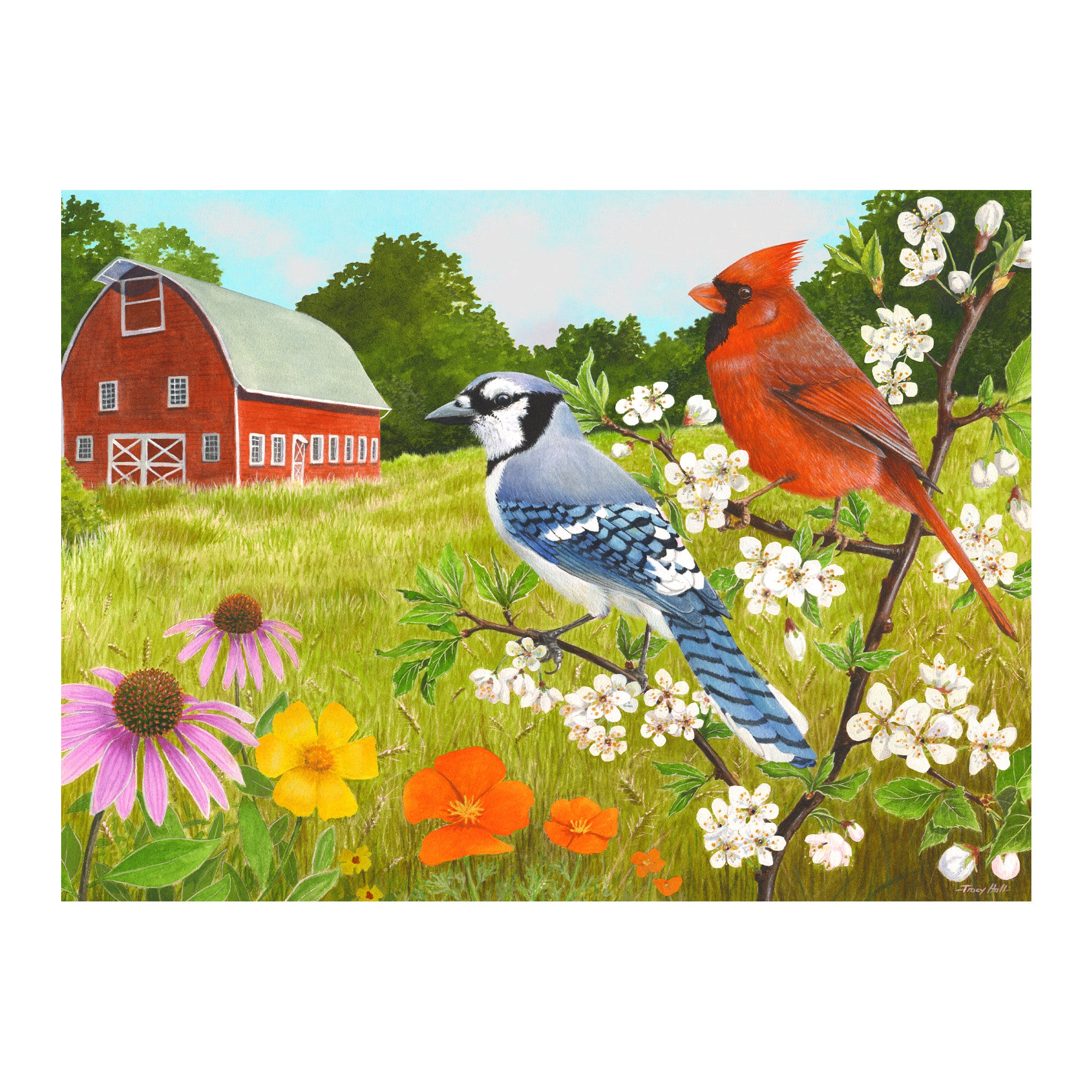 Senioren Puzzle „Vögel“, 13 Teile, Puzzle für Menschen mit Demenz, 31x22 cm