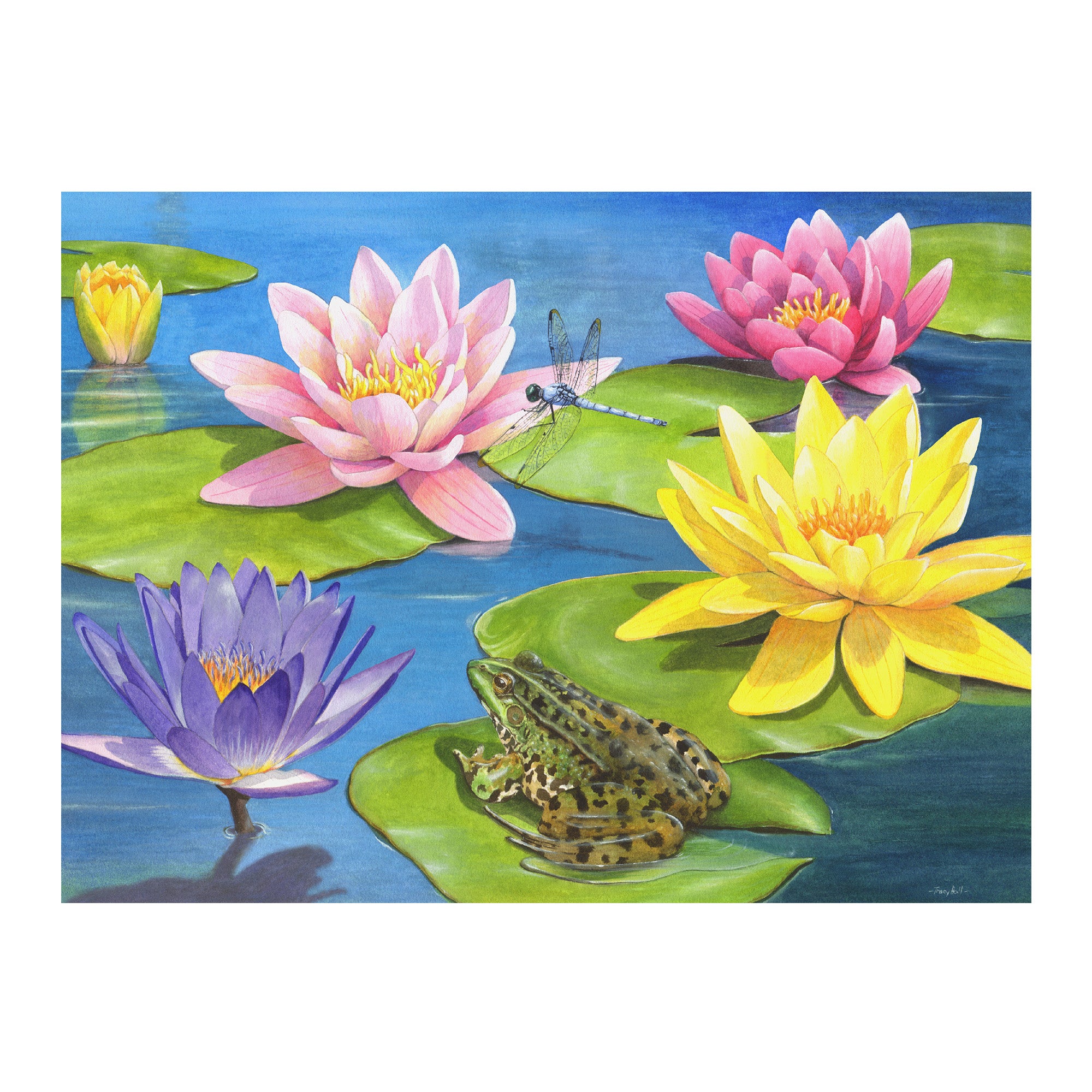 Senioren Puzzle „Lilienteich“, 13 Teile, Puzzle für Menschen mit Demenz, 31x22 cm