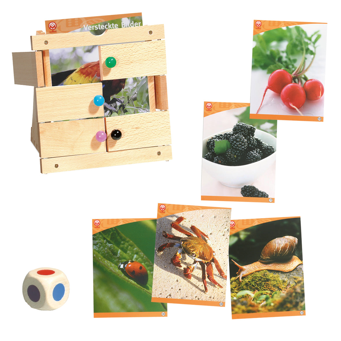 Ratespiel „Versteckte Bilder“ – Naturfotos