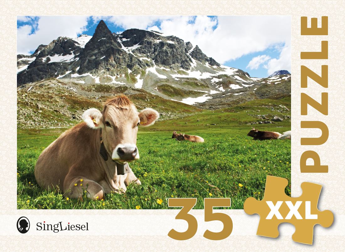 Senioren-Puzzle „Alpen“, 35 XXL-Teile, 34 x 24 cm, Puzzle für Menschen mit Demenz